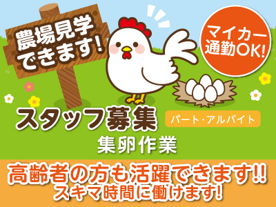 【農場見学OK】高齢者の方も活躍できます!!スキマ時間に働けます!扶養内で働けます!【パート・アルバイト募集 集卵作業】