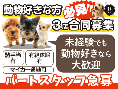 ペットstep 松山問屋町店 動物好きな方必見 3店合同募集 パートスタッフ急募 未経験でも動物好きなら大歓迎 四国の求人 情報なら キュービック