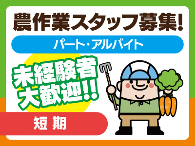 短期★農作業スタッフ募集!!未経験者大歓迎!●男性活躍中●10月中旬～12月下旬までの短期のお仕事です!!