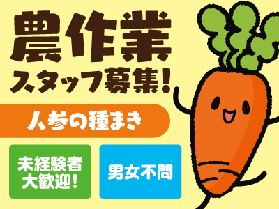 農作業スタッフ募集★人参の種まきスタッフ大募集!!★年末までの短期のお仕事♪★未経験者大歓迎!★応募枠残数名のためお早めに!