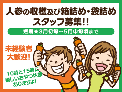 【徳島求人】にんじんの収穫・箱詰め・袋詰め作業/短期/パート・アルバイト/1日2回おやつ休憩あり