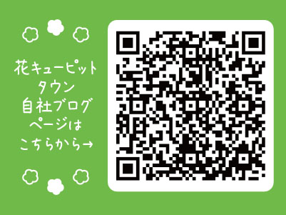 研修も丁寧に行いますので未経験者の方も大歓迎！社割制度あり♪お花屋さんでの接客・販売・配達【正社員】イメージ02