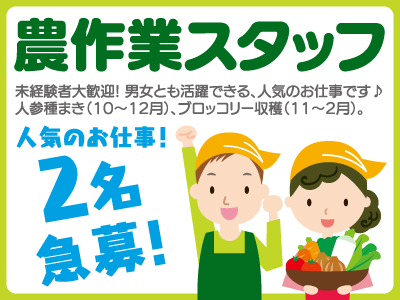 農作業スタッフ募集★【急募】人参の種まきをお任せします!!★2名急募!!★人気のお仕事!★お早めのご応募を!!★人参種まき（10〜12月）★ブロッコリー収穫（11〜2月）