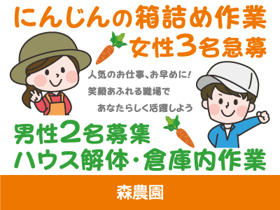 【徳島求人】にんじんの箱詰め作業・ハウス解体作業・倉庫内作業/急募/短期/パート・アルバイト/自然と馴染める職場で、新しい一歩を