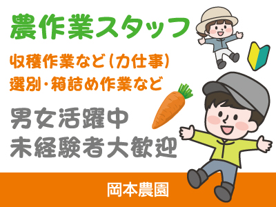 【徳島求人】にんじんの収穫・選別作業/短期/パート・アルバイト/男女活躍中