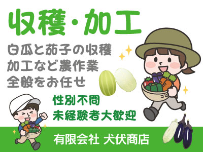 【収穫および加工】パート・アルバイト/白瓜と茄子の収穫・加工、性別不問、未経験者大歓迎