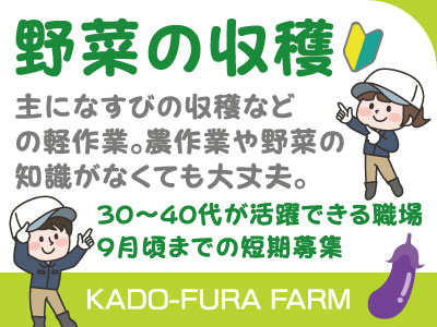 【野菜の収穫】パート・アルバイト/短期/収穫などの軽作業、農作業や野菜の知識がなくても大丈夫、30〜40代が活躍できる職場