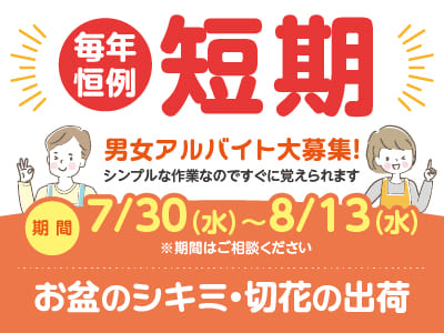 [短期]毎年恒例 男女アルバイト13名大募集！★シンプルな作業なのですぐに覚えられます[お盆のシキミ・切花の出荷作業]