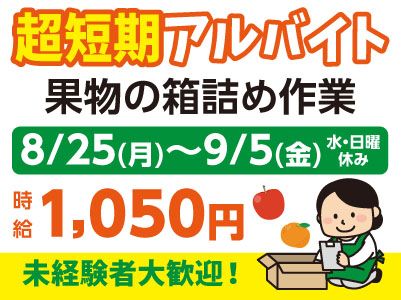 超短期アルバイト募集！［8/25(月)～9/5(金)］果物の箱詰め作業♪ 未経験者大歓迎！出勤日数はご相談ください！