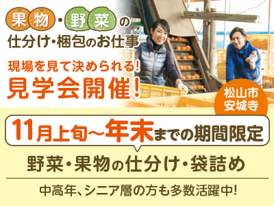 <安城寺エリア／野菜・果物の仕分け・袋詰め> 11月上旬〜年末までの期間限定！中高年、シニア層の方も多数活躍中！［現場を見て決められる！見学会も開催！］