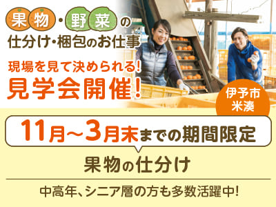 <伊予市エリア／果物の仕分け> 11月〜3月末までの期間限定！中高年、シニア層の方も多数活躍中！［現場を見て決められる！見学会も開催！］