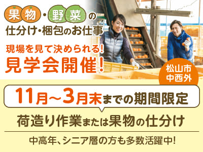 <北条エリア／荷造り作業または果物の仕分け> 11月〜3月末までの期間限定！中高年、シニア層の方も多数活躍中！［現場を見て決められる！見学会も開催！］