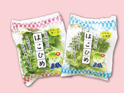 安定した仕事量で長〜く勤められます！配達ルートは曜日ごとに決まっているので道を覚えるのが苦手な方も安心！ルート配達&工場内での梱包作業［パートさん追加募集 ］イメージ02