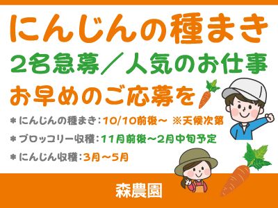 【にんじんの種まき】パート・アルバイト/短期/2名急募、人気のお仕事、お早めのご応募を