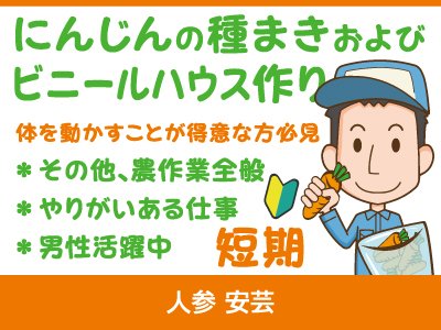 【にんじんの種まき、ビニールハウス作り】パート・アルバイト/短期/体を動かすことが得意な方必見、未経験者歓迎、男性活躍中
