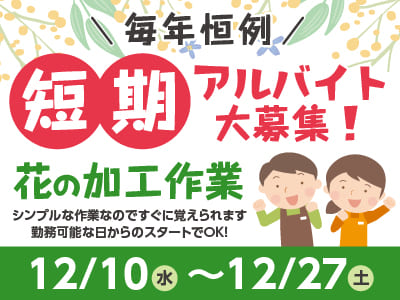 [短期]毎年恒例 アルバイト10名大募集！まもなく勤務開始！12月末まで ★シンプルな作業なのですぐに覚えられます[花の加工作業]