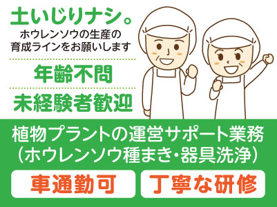 土いじりナシ。ホウレンソウの生産の育成ラインをお願いします［パート・アルバイト］丁寧な研修あり！ 快適な環境 ◎年齢不問 ◎車通勤可