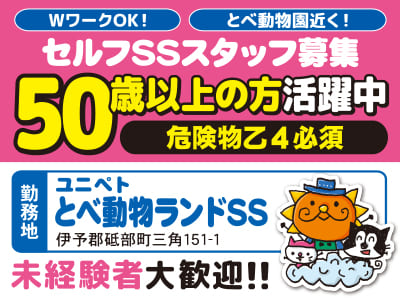 <セルフSSスタッフ若干名募集> WワークOK！とべ動物園近く！未経験者大歓迎!! 冷暖房完備の事務所内での仕事が主です♪