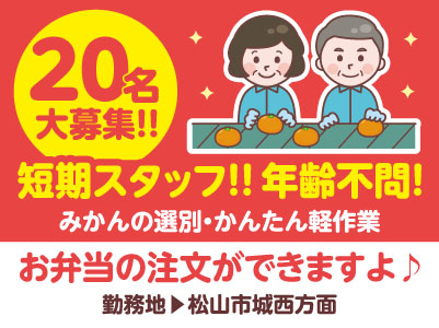 【松山市城西方面】20名大募集!!短期スタッフ!!年齢不問!みかんの選別・かんたん軽作業【短期/派遣】