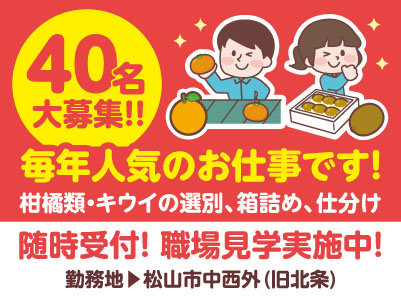 【松山市中西外】40名大募集！！ 毎年人気のお仕事です！柑橘類・キウイの選別、箱詰め、仕分け【短期／派遣】