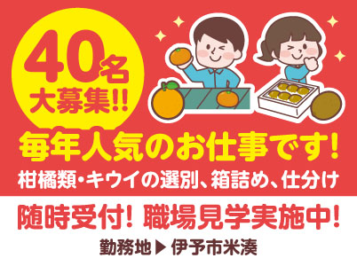 【伊予市米湊】40名大募集！！ 毎年人気のお仕事です！柑橘類・キウイの選別、箱詰め、仕分け【短期／派遣】