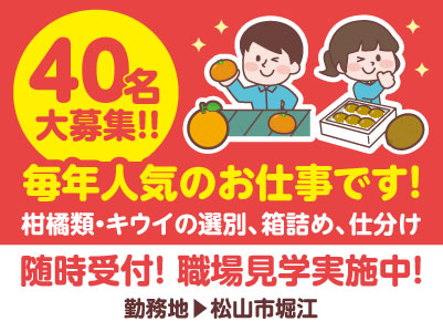 【松山市堀江】40名大募集！！ 毎年人気のお仕事です！柑橘類・キウイの選別、箱詰め、仕分け【短期／派遣】